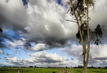 开云体育世界杯-乔治刷新纪录，北京队横扫尼克斯，中美篮球交流的新篇章